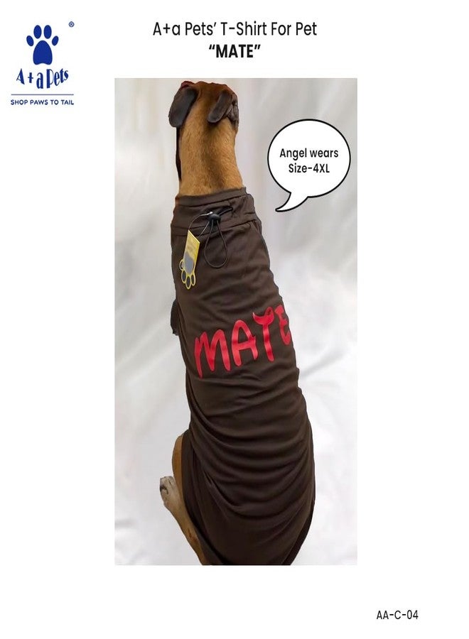 A+a Pets' Graphic Printed Premium T-Shirt for Human(Unisex) 'Soul' & Pets(Dog & Cat) 'Mate' | Half Sleeve Round Neck Costumes | Cotton (Human - M, Pet - XL, WhiteH & BrownP) - Image 4
